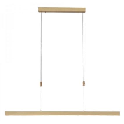 Paul Neuhaus 2568-60 - Himmennettävä LED-kattokruunu johdossa ADRIANA LED/14W/230V  2700-5000K messinki