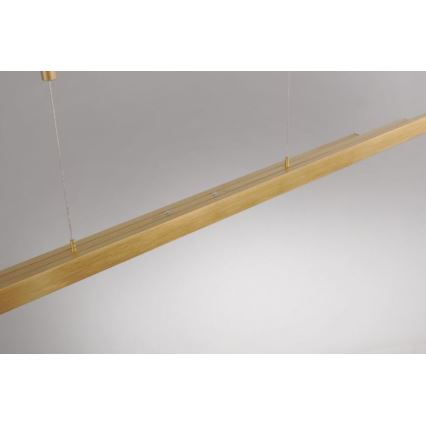 Paul Neuhaus 2568-60 - Himmennettävä LED-kattokruunu johdossa ADRIANA LED/14W/230V  2700-5000K messinki