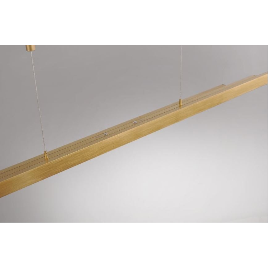 Paul Neuhaus 2568-60 - Himmennettävä LED-kattokruunu johdossa ADRIANA LED/14W/230V  2700-5000K messinki