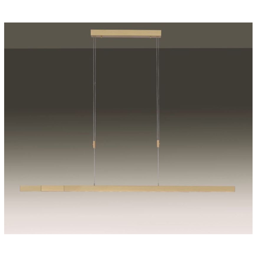 Paul Neuhaus 2568-60 - Himmennettävä LED-kattokruunu johdossa ADRIANA LED/14W/230V  2700-5000K messinki