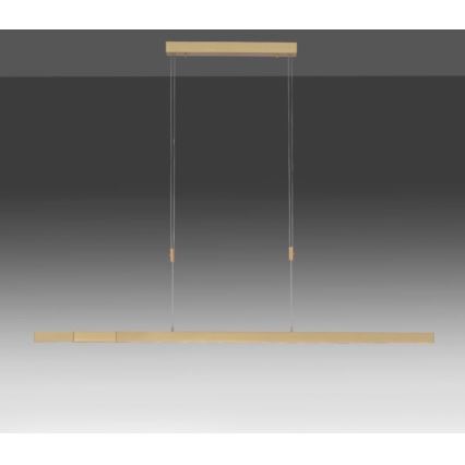 Paul Neuhaus 2568-60 - Himmennettävä LED-kattokruunu johdossa ADRIANA LED/14W/230V  2700-5000K messinki