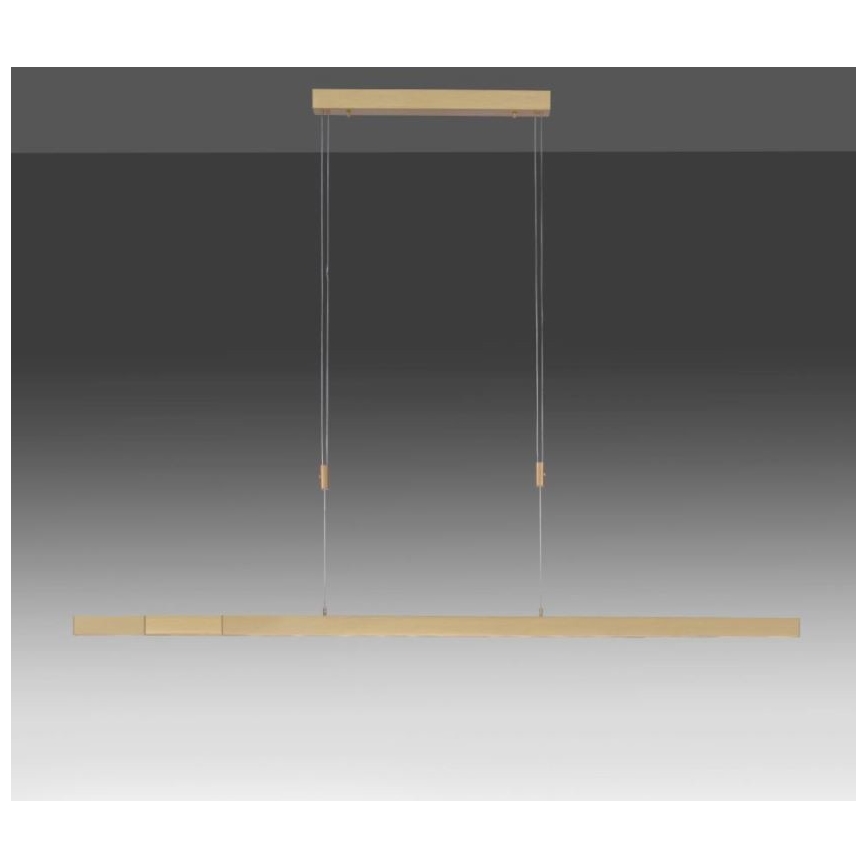 Paul Neuhaus 2568-60 - Himmennettävä LED-kattokruunu johdossa ADRIANA LED/14W/230V  2700-5000K messinki