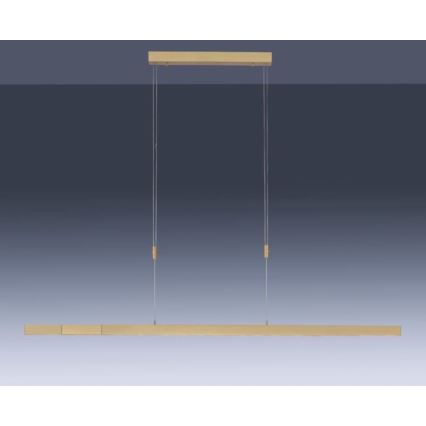 Paul Neuhaus 2568-60 - Himmennettävä LED-kattokruunu johdossa ADRIANA LED/14W/230V  2700-5000K messinki