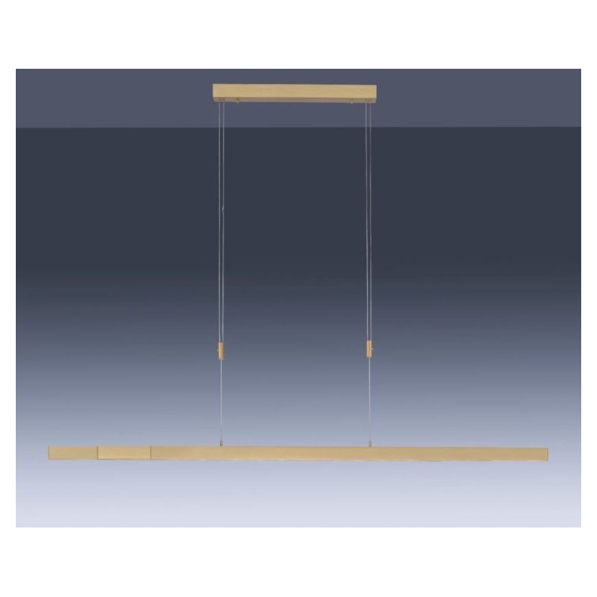 Paul Neuhaus 2568-60 - Himmennettävä LED-kattokruunu johdossa ADRIANA LED/14W/230V  2700-5000K messinki