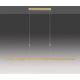 Paul Neuhaus 2568-60 - Himmennettävä LED-kattokruunu johdossa ADRIANA LED/14W/230V  2700-5000K messinki