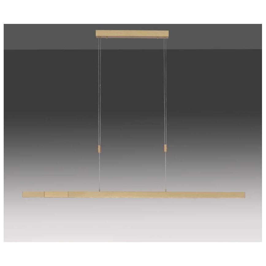 Paul Neuhaus 2568-60 - Himmennettävä LED-kattokruunu johdossa ADRIANA LED/14W/230V  2700-5000K messinki