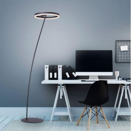 Paul Neuhaus 381-13 - LED Himmennettävä lattialamppu TITUS LED/19,5W/230V