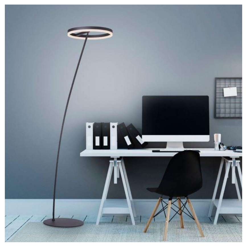 Paul Neuhaus 381-13 - LED Himmennettävä lattialamppu TITUS LED/19,5W/230V