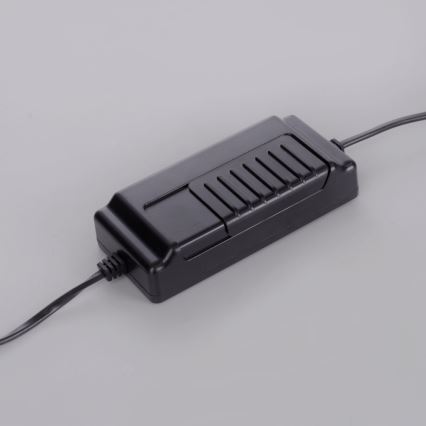 Paul Neuhaus 381-13 - LED Himmennettävä lattialamppu TITUS LED/19,5W/230V