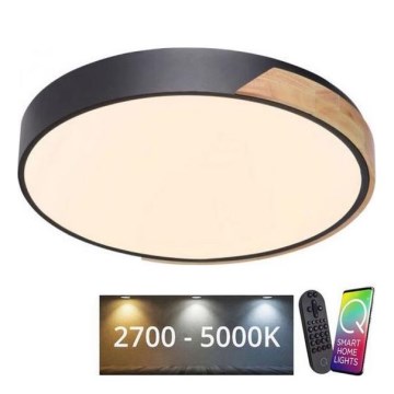 Paul Neuhaus 6071-18 - LED himmennettävä kattovalaisin Q-PIATO LED/35W/230V halkaisija 51 cm 2700-5000K Wi-Fi + kaukosäädin