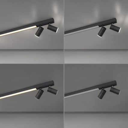 Paul Neuhaus 6121-13 - PURE himmennettävä LED-kohdevalaisin 4xLED/4W/230V + LED/9W 2700-5000K + kaukosäädin