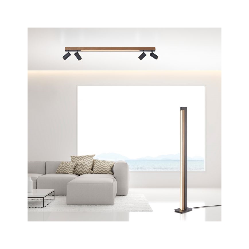 Paul Neuhaus 6121-79 - Himmennettävä LED-kohdevalo PURE 4xLED/4W/230V + LED/9W 2700-5000K + kauko-ohjaus