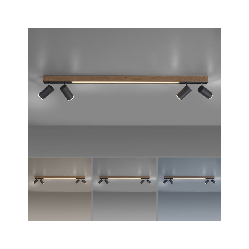 Paul Neuhaus 6121-79 - Himmennettävä LED-kohdevalo PURE 4xLED/4W/230V + LED/9W 2700-5000K + kauko-ohjaus