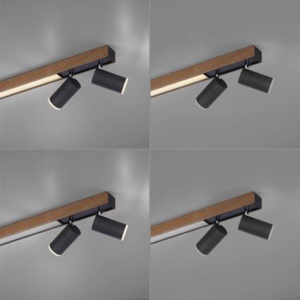 Paul Neuhaus 6121-79 - Himmennettävä LED-kohdevalo PURE 4xLED/4W/230V + LED/9W 2700-5000K + kauko-ohjaus