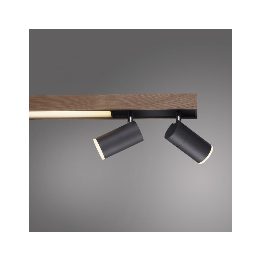 Paul Neuhaus 6121-79 - Himmennettävä LED-kohdevalo PURE 4xLED/4W/230V + LED/9W 2700-5000K + kauko-ohjaus