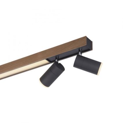 Paul Neuhaus 6121-79 - Himmennettävä LED-kohdevalo PURE 4xLED/4W/230V + LED/9W 2700-5000K + kauko-ohjaus