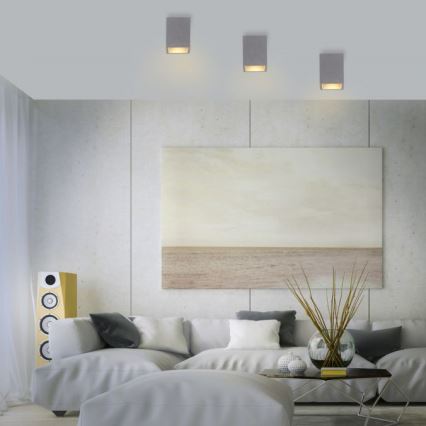 Paul Neuhaus 6161-22 - Kohdevalo ETON 1xGU10/10W/230V betoni