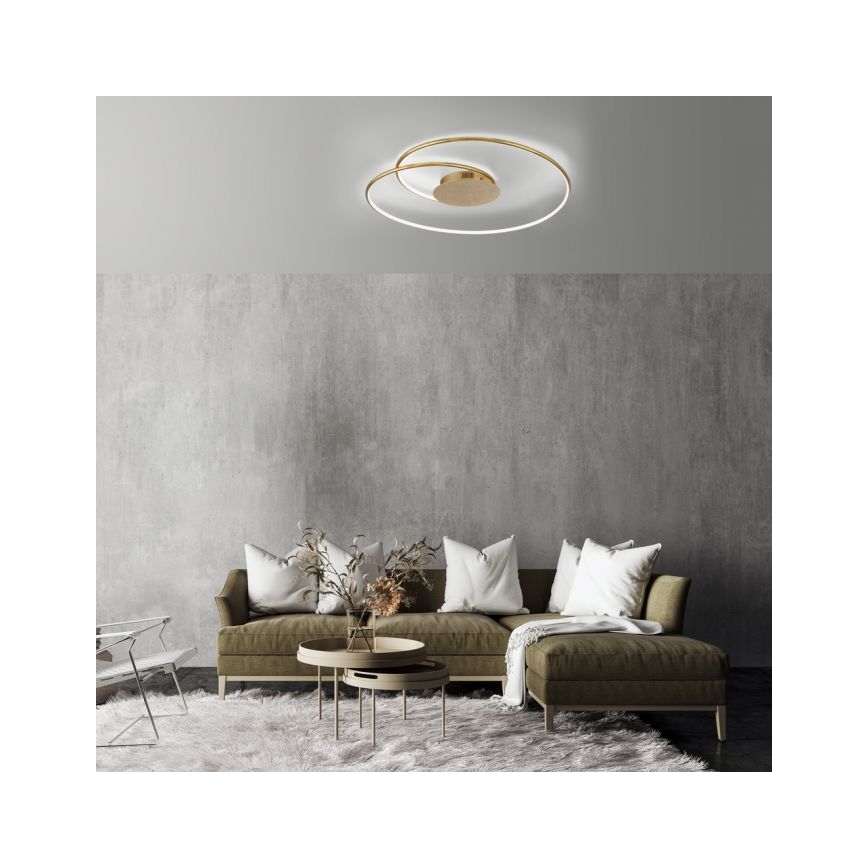 Paul Neuhaus 6189-12 - Himmennettävä LED-kattovalaisin NASTRO LED/26W/230V