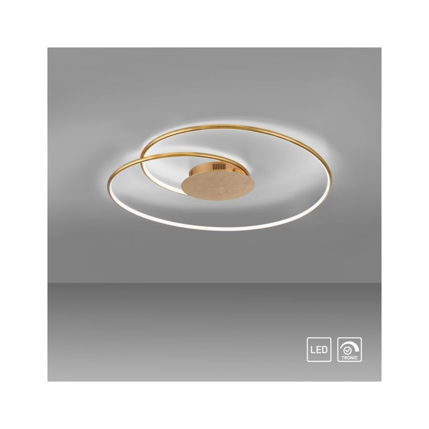 Paul Neuhaus 6189-12 - Himmennettävä LED-kattovalaisin NASTRO LED/26W/230V