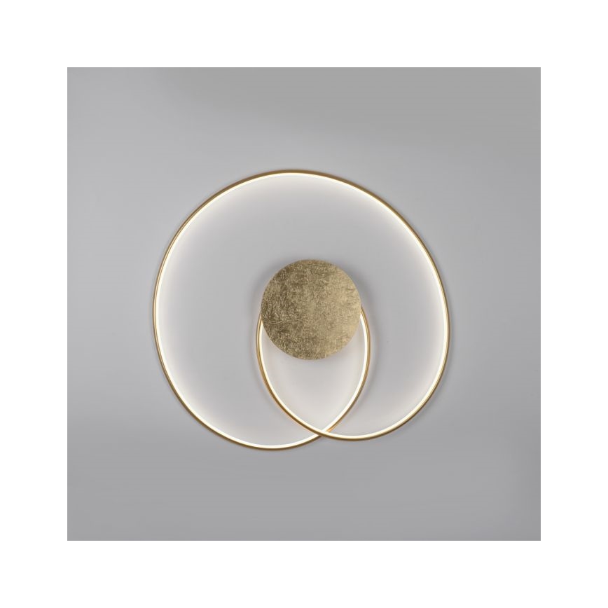 Paul Neuhaus 6189-12 - Himmennettävä LED-kattovalaisin NASTRO LED/26W/230V