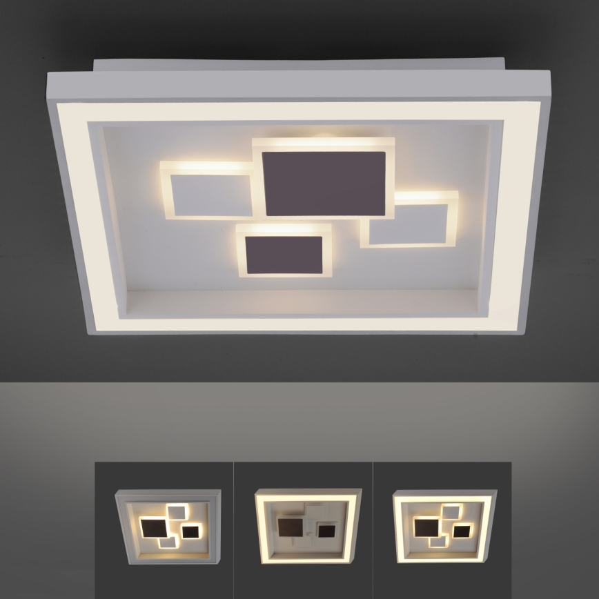 Paul Neuhaus 6283-16 - Himmennettävä LED-kattovalaisin ELIZA LED/30W/230V + LED/18,5W