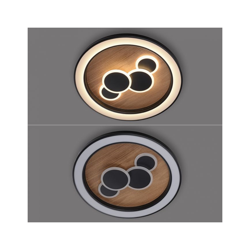 Paul Neuhaus 6284-79 - LED-kattovalaisin ELIZA LED/55,5W/230V halkaisija 60 cm tammi