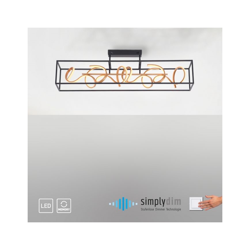 Paul Neuhaus 6473-18 - Himmennettävä LED-riipuskattokruunu SELINA 4xLED/10,2W/230V