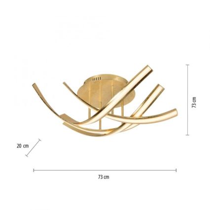 Paul Neuhaus 6474-12 - LED-himmennyskattokruunu LINDA 4xLED/7W/230V