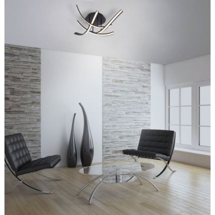 Paul Neuhaus 6474-48 - LED-himmennyskattokruunu LINDA 4xLED/7W/230V