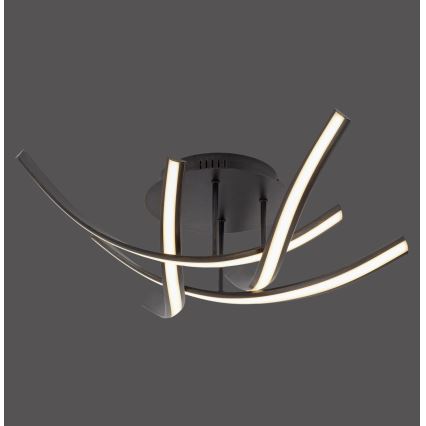 Paul Neuhaus 6474-48 - LED-himmennyskattokruunu LINDA 4xLED/7W/230V