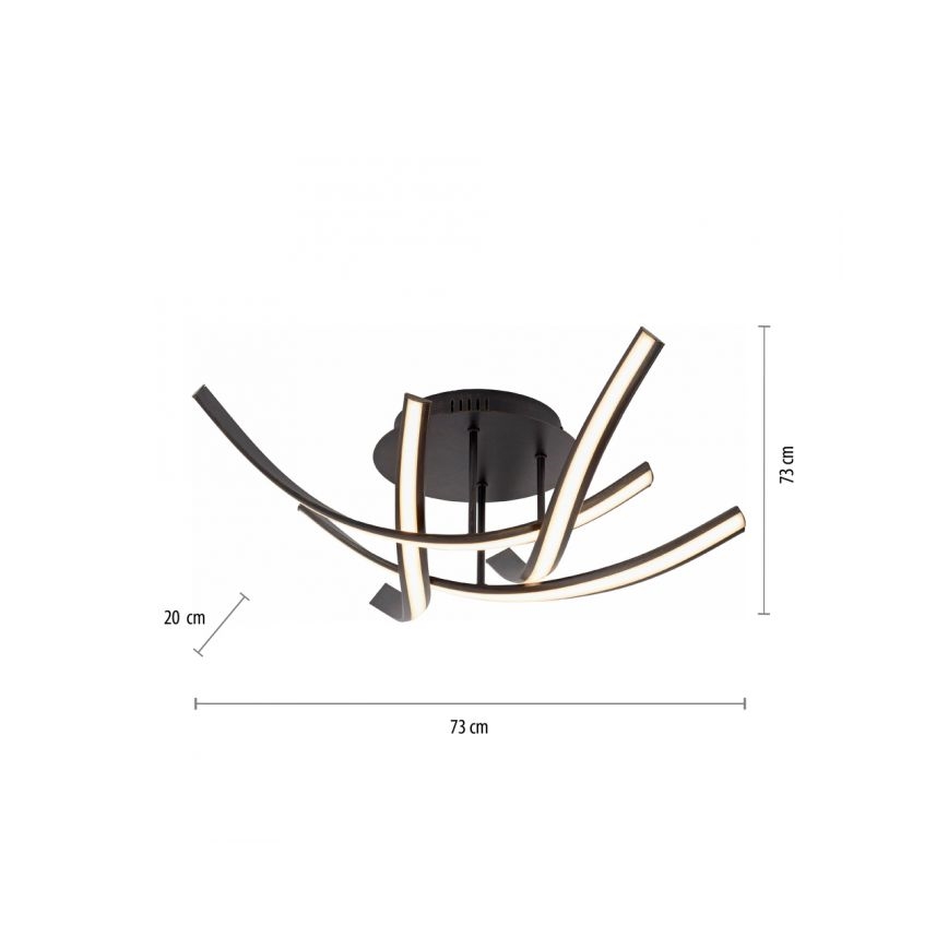 Paul Neuhaus 6474-48 - LED-himmennyskattokruunu LINDA 4xLED/7W/230V