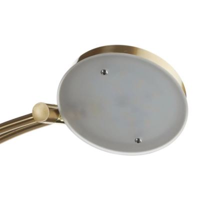 Paul Neuhaus 655-60 - LED-himmennettävä lattiavalaisin ALFRED LED/28W/230V+LED/4W/230V messinki