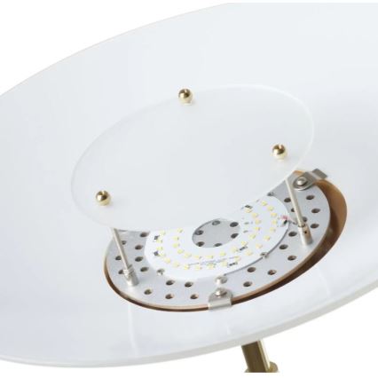 Paul Neuhaus 655-60 - LED-himmennettävä lattiavalaisin ALFRED LED/28W/230V+LED/4W/230V messinki