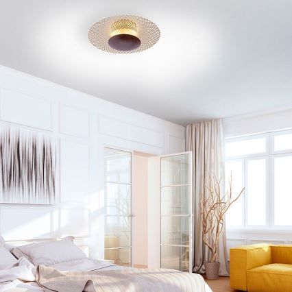 Paul Neuhaus 6551-48 - LED Himmennettävä kattovalo NEVIS LED/18W/230V