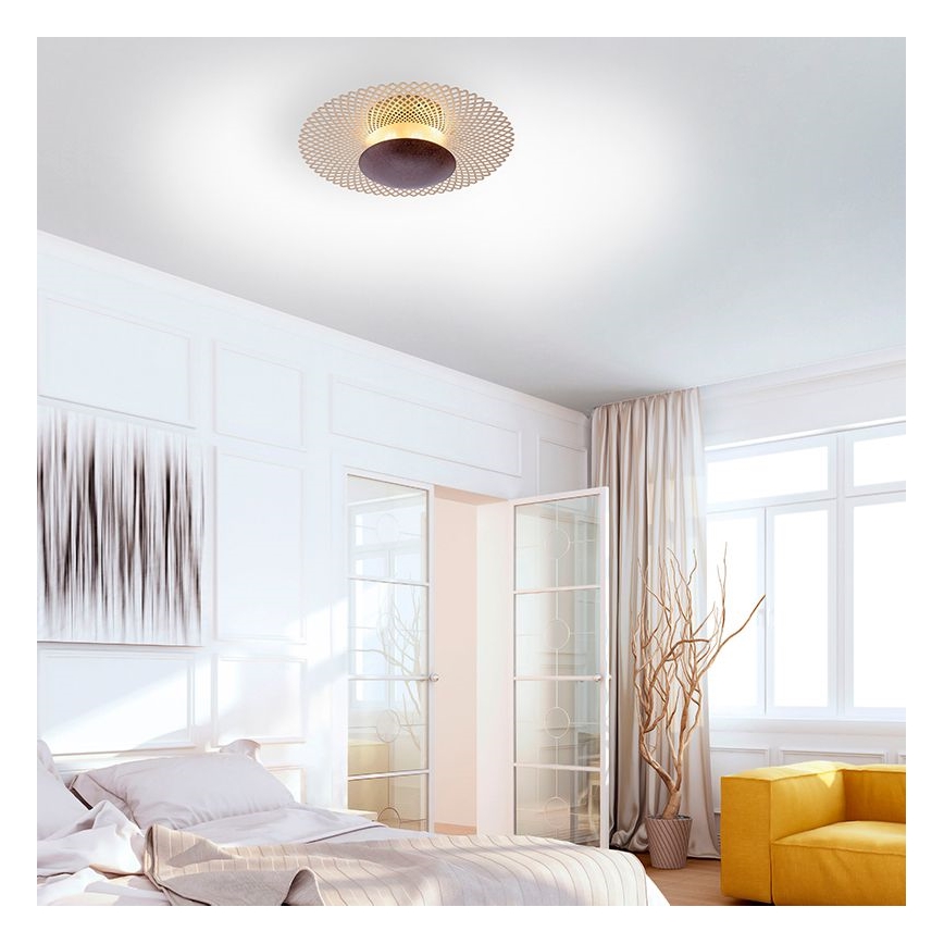 Paul Neuhaus 6551-48 - LED Himmennettävä kattovalo NEVIS LED/18W/230V