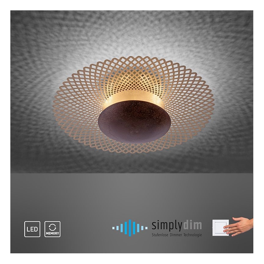 Paul Neuhaus 6551-48 - LED Himmennettävä kattovalo NEVIS LED/18W/230V