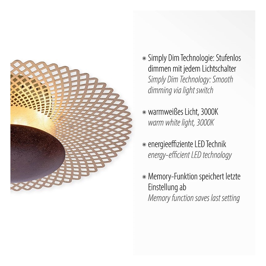 Paul Neuhaus 6551-48 - LED Himmennettävä kattovalo NEVIS LED/18W/230V