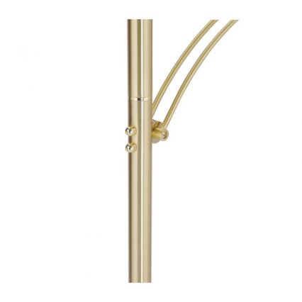 Paul Neuhaus 673-60 - LED-himennettävä lattiavalaisin ARTUR 2xLED/21W/230V+LED/6W kultainen