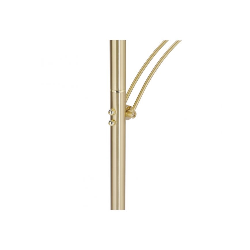 Paul Neuhaus 673-60 - LED-himennettävä lattiavalaisin ARTUR 2xLED/21W/230V+LED/6W kultainen