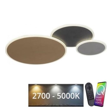 Paul Neuhaus 8007-70 - LED himmennettävä kattovalaisin Q-PIATO LED/35W/230V 2700-5000K Wi-Fi + kaukosäädin