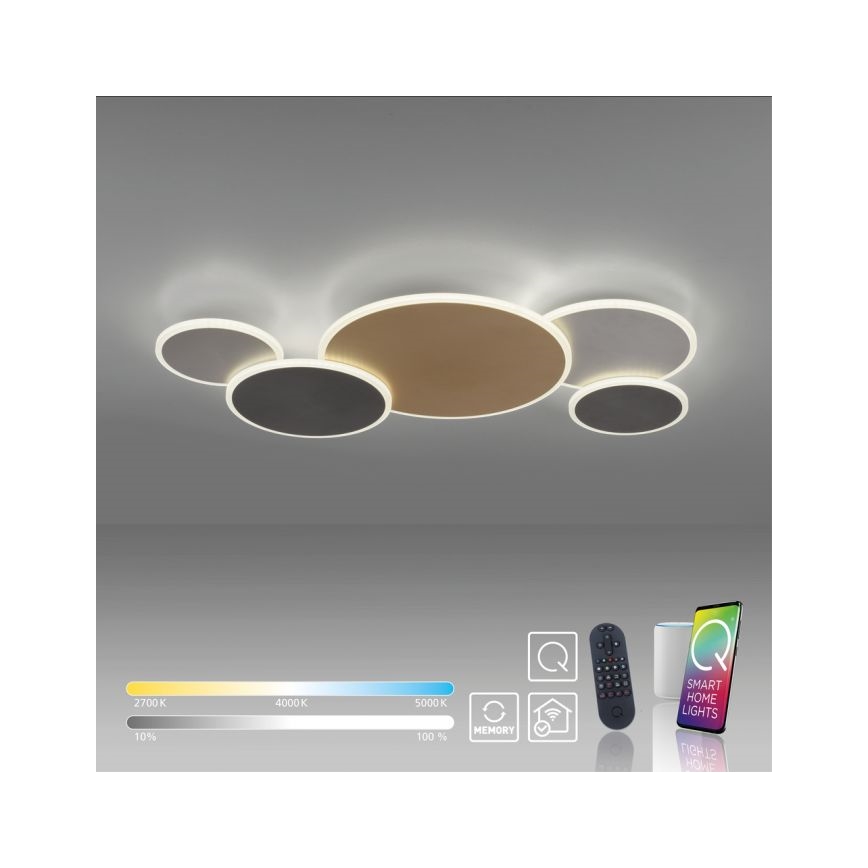 Paul Neuhaus 8008-70 - Himmennettävä LED-kattovalaisin Q-PIATO LED/49W/230V 2700-5000K Wi-Fi + kauko-ohjaus