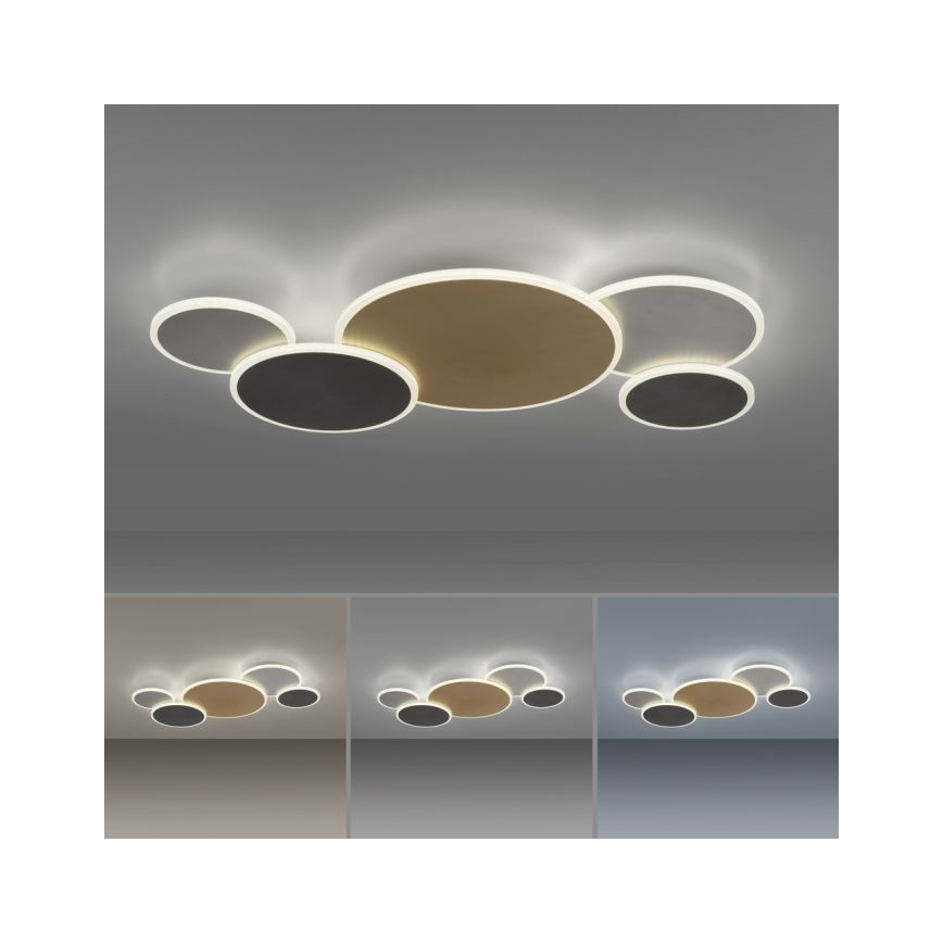 Paul Neuhaus 8008-70 - Himmennettävä LED-kattovalaisin Q-PIATO LED/49W/230V 2700-5000K Wi-Fi + kauko-ohjaus