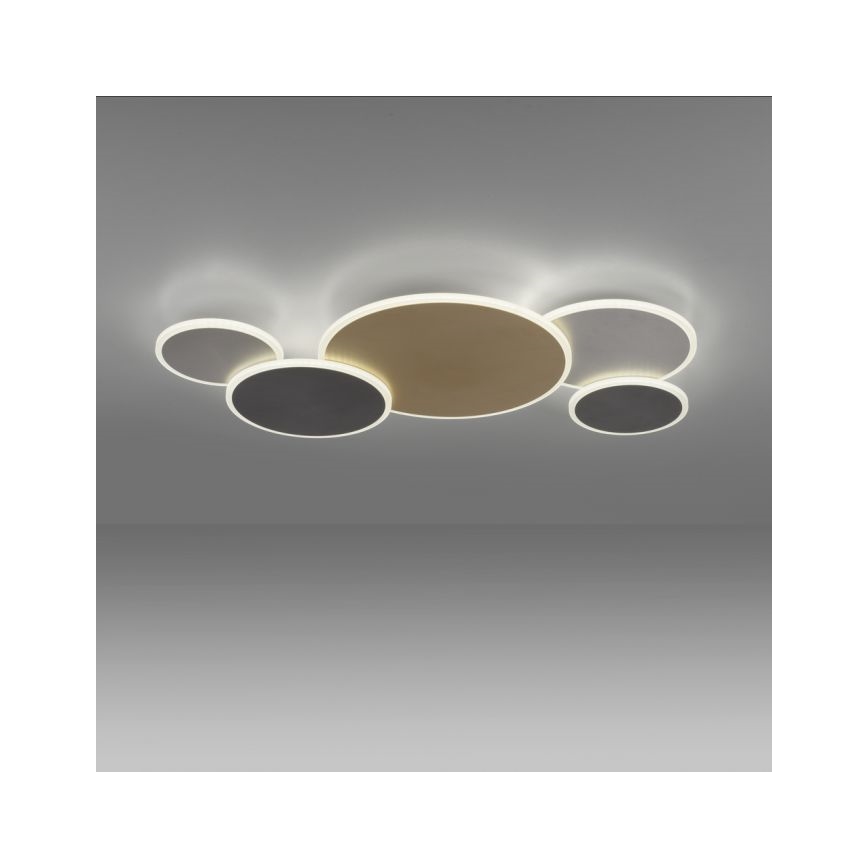 Paul Neuhaus 8008-70 - Himmennettävä LED-kattovalaisin Q-PIATO LED/49W/230V 2700-5000K Wi-Fi + kauko-ohjaus