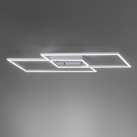 Paul Neuhaus 8193-55 - LED-himmennyskattokruunu INIGO 2xLED/15W/230V