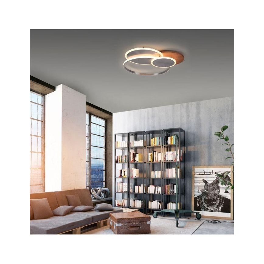 Paul Neuhaus 8328-79 - Himmennettävä LED-kattovalaisin PALMA LED/50W/230V 2700-5000K mänty + kauko-ohjaus