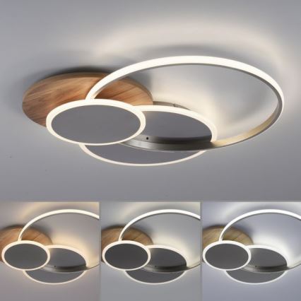 Paul Neuhaus 8328-79 - Himmennettävä LED-kattovalaisin PALMA LED/50W/230V 2700-5000K mänty + kauko-ohjaus