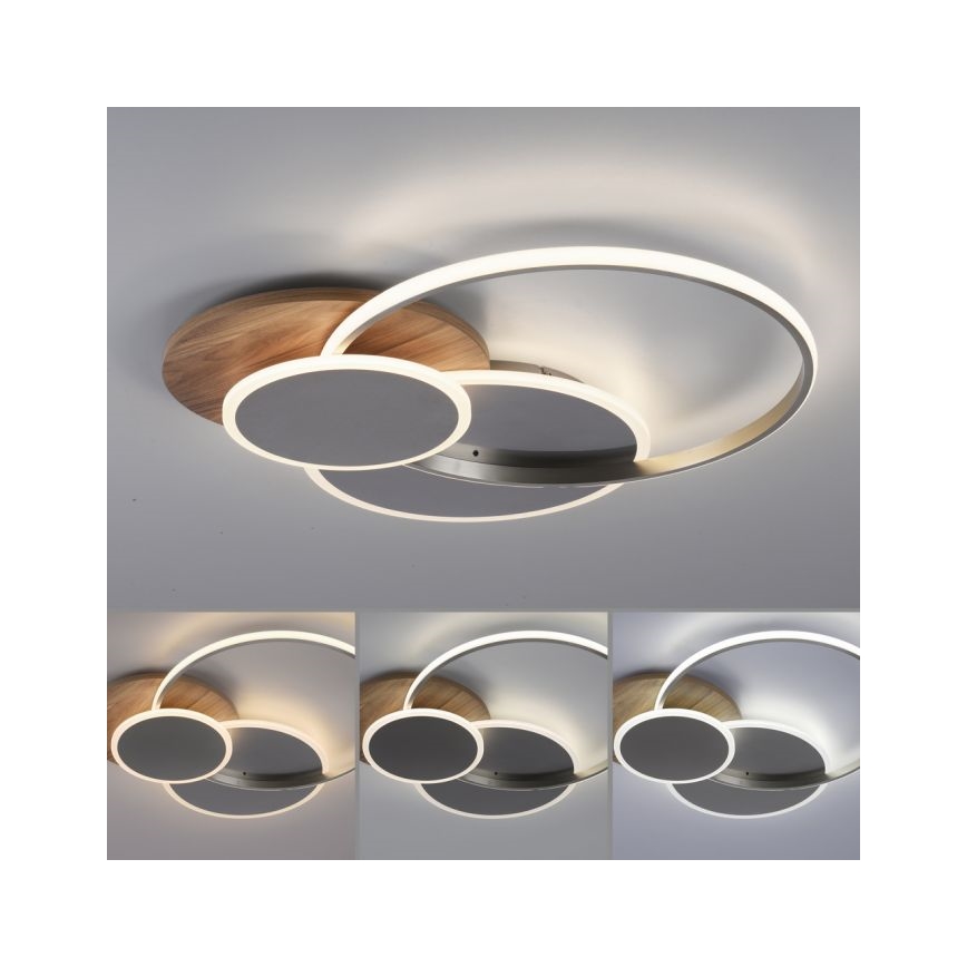 Paul Neuhaus 8328-79 - Himmennettävä LED-kattovalaisin PALMA LED/50W/230V 2700-5000K mänty + kauko-ohjaus