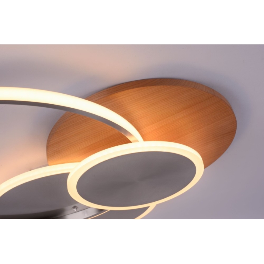 Paul Neuhaus 8328-79 - Himmennettävä LED-kattovalaisin PALMA LED/50W/230V 2700-5000K mänty + kauko-ohjaus