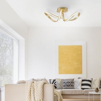 Paul Neuhaus 8331-12 - LED-himmennyskattokruunu MELINDA LED/30W/230V