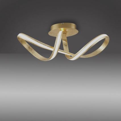 Paul Neuhaus 8331-12 - LED-himmennyskattokruunu MELINDA LED/30W/230V